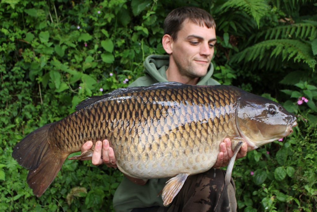 Chris Connaughton had a cracking days fishing last week at Jennetts reservoir, Bideford. Chris Banked this clonking 28.00 common, part of a 6 fish catch on the day ticket venue. Chris also had another fish over 20lb at 21.04. Fishing tight to the far marginal trees (a prolific hot spot) worked for Chris.  