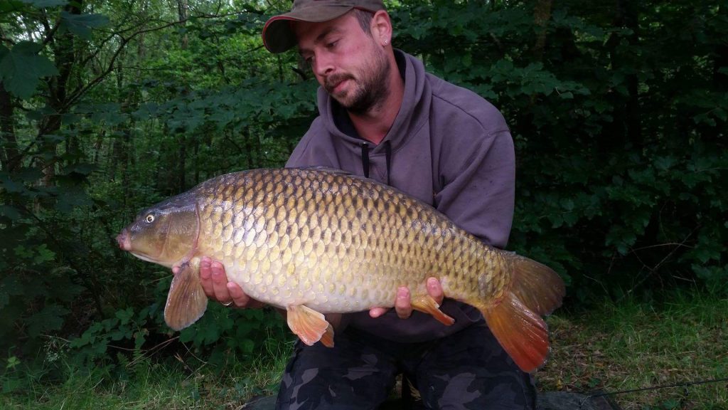 Scott Vern who had 7 fish out up to 15lb from lodge lake using mainline cell boilies .