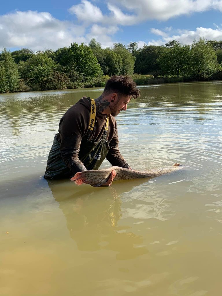 Catfish Paradise North Devon & Exmoor Angling News The latest up to