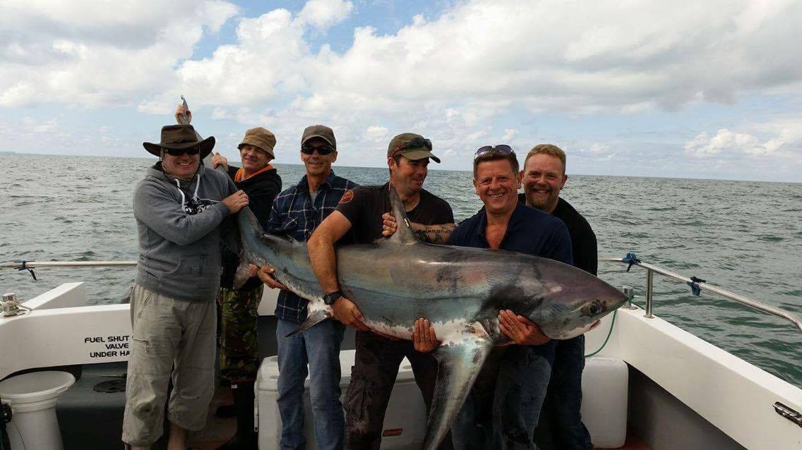 Thresher Shark