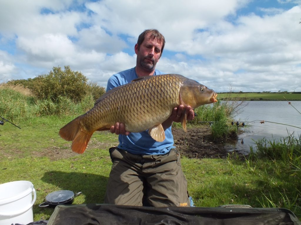 16lb common carp