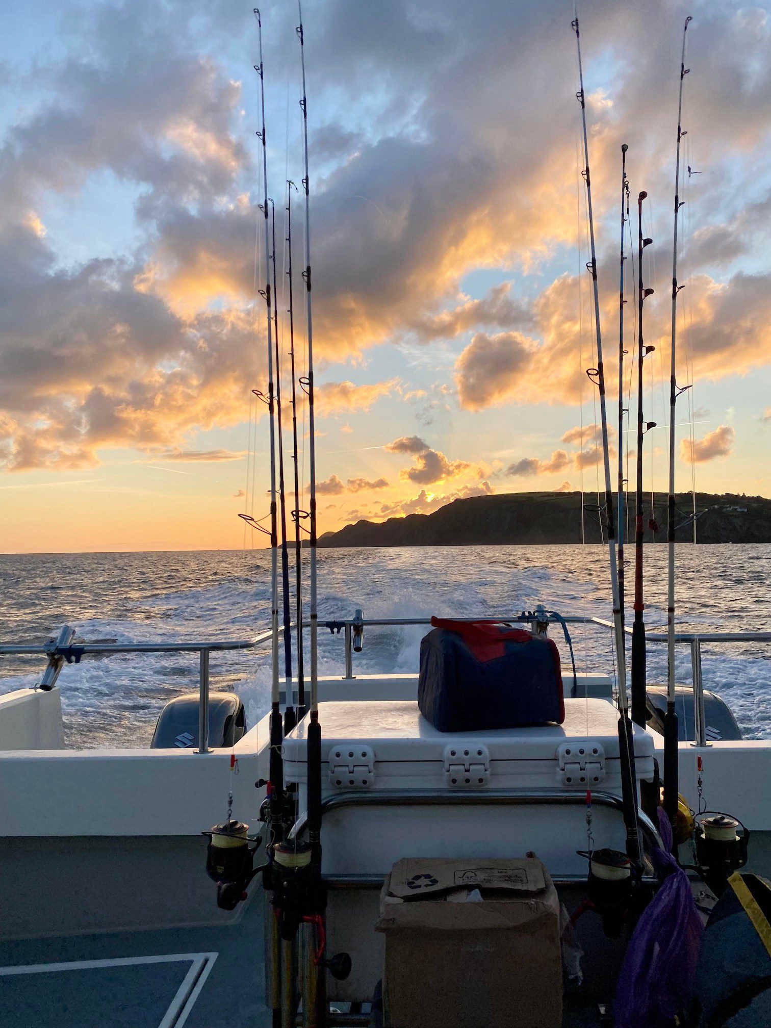 Porbeagle the Reel Deal - North Devon & Exmoor Angling News - The latest up  to date information