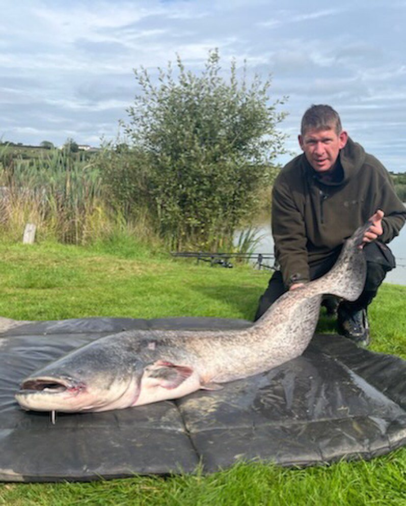 catfish Archives - North Devon & Exmoor Angling News - The latest up to  date information
