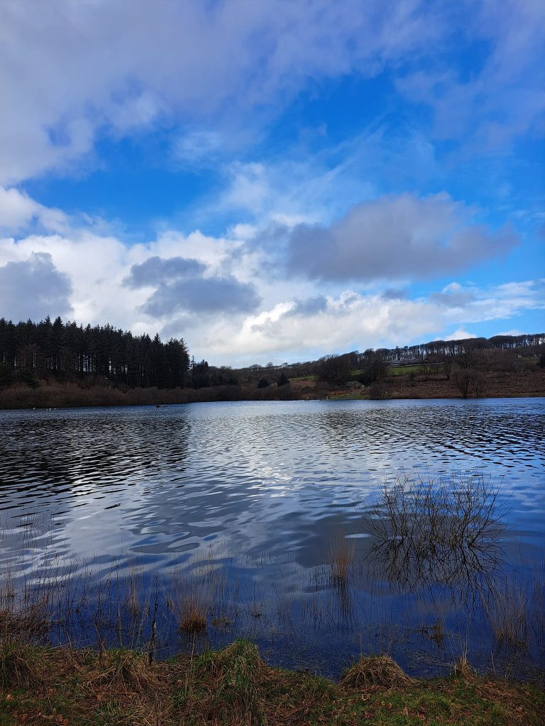 Wistlandpound Wild Brown Trout Fishing - North Devon & Exmoor Angling