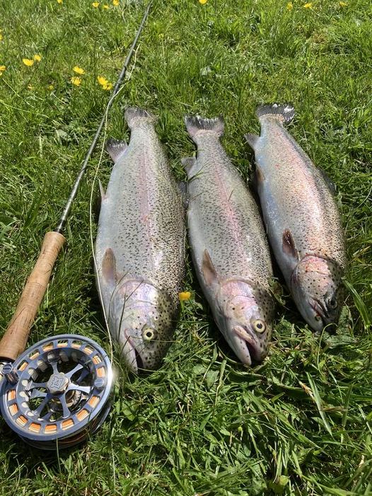 Torridge Fly Fishing Club - Fine fishing at Gammaton - North Devon