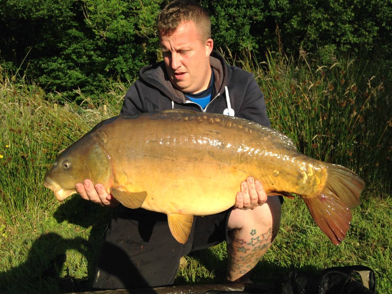 BIg Carp and Cats from Paradise Lakes - North Devon & Exmoor Angling News -  The latest up to date information