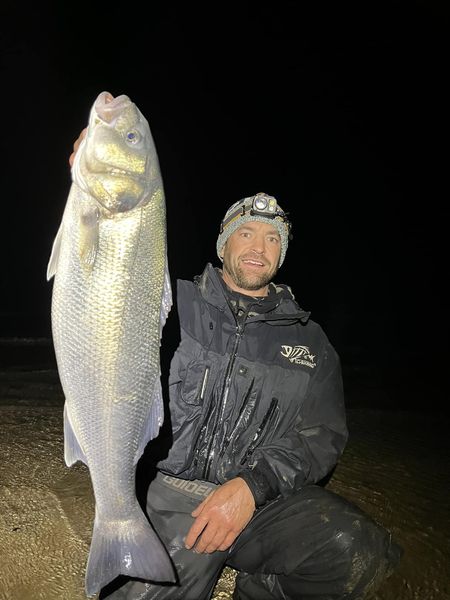 Pre-Freeze Largemouth Bonanza - In-Fisherman