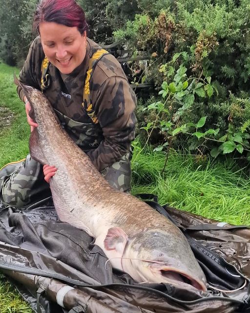 40lb 9oz Wels Catfish from Anglers Eldorado - North Devon & Exmoor Angling  News - The latest up to date information