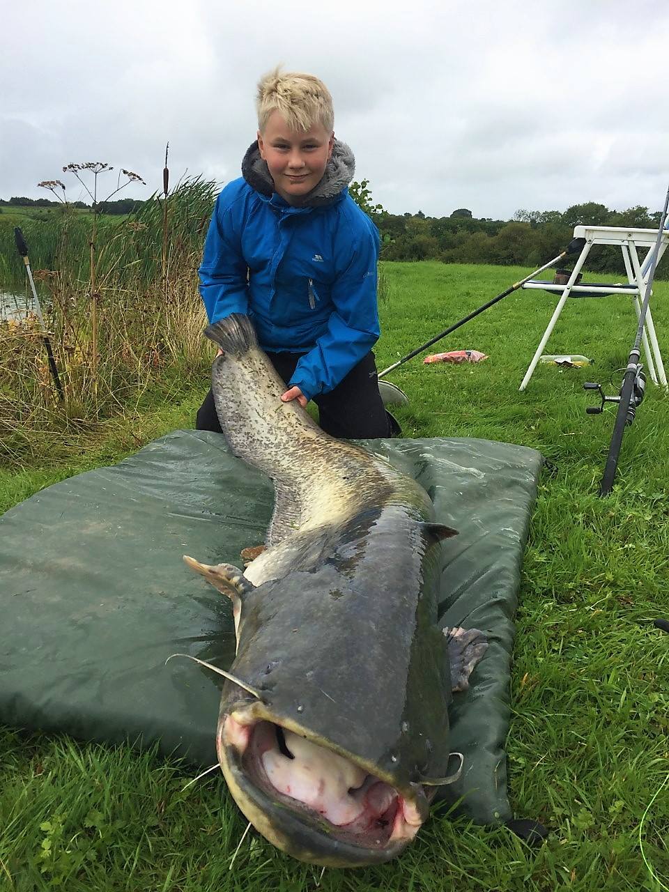 11 YEAR OLD LAD CATCHES A 60LB CATFISH!! - North Devon & Exmoor Angling  News - The latest up to date information