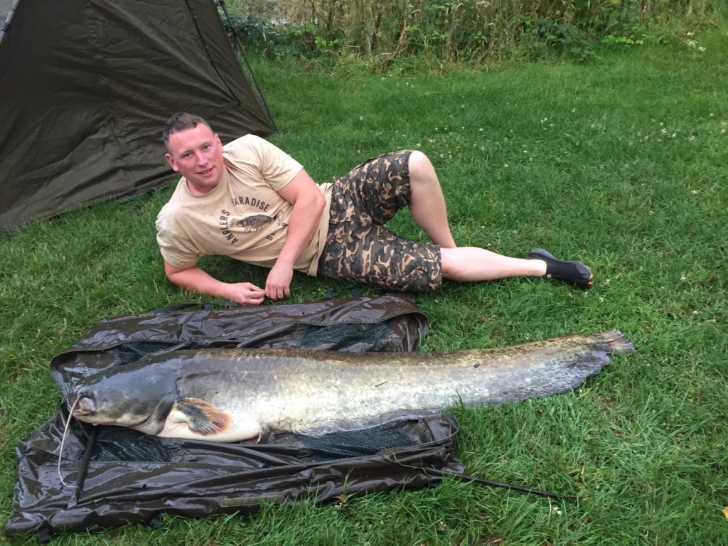 Big Catfish Wins Fish Of The Week In Paradise North Devon & Exmoor