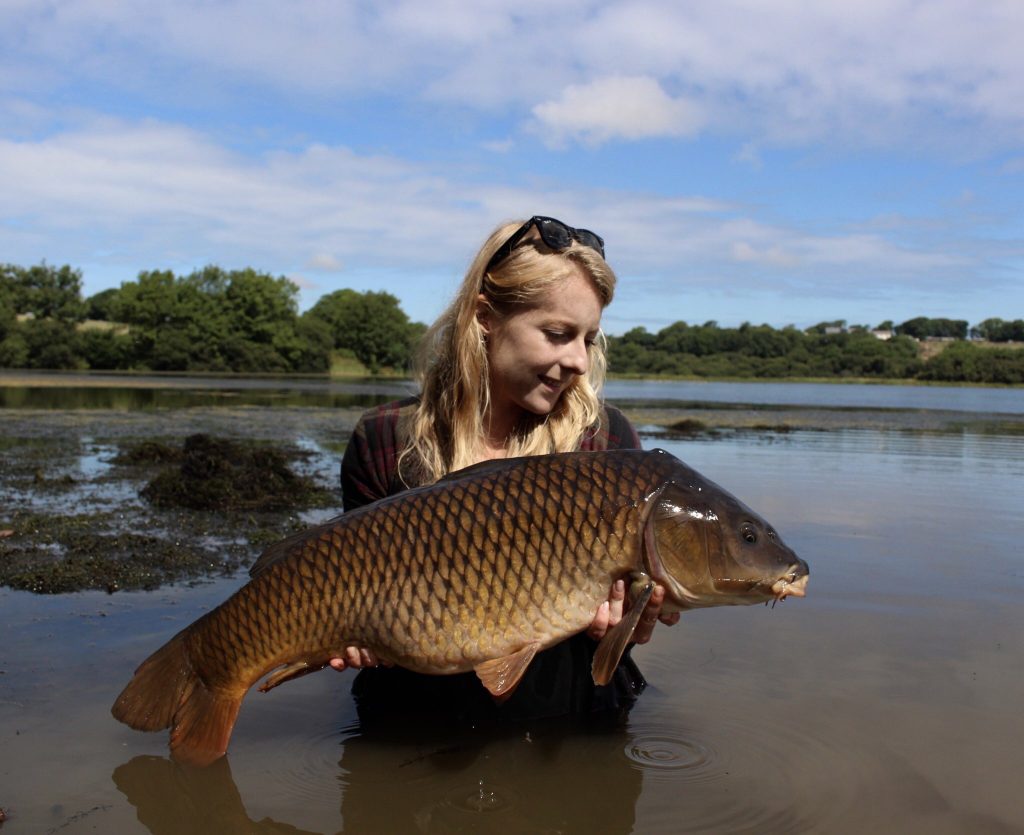 Tamar lakes Carp - North Devon & Exmoor Angling News - The latest up to