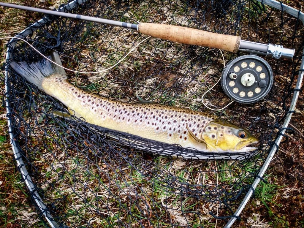 South West Lakes Trout Fisheries Report April 2021 - North Devon