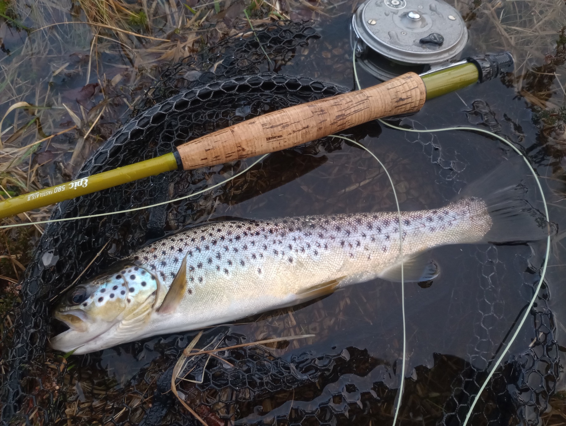 trout fishing Archives - North Devon & Exmoor Angling News - The latest up  to date information