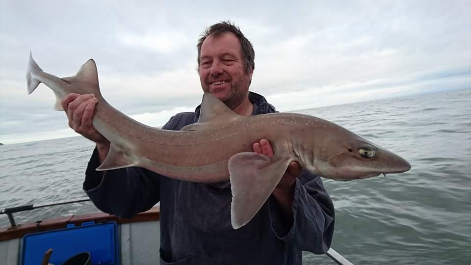 David Atkinson fished on teddie boy out of minehead today and broke the Appledore Shipbuilders Angling Club Boat record with this smoothound of 20lb 8ozs