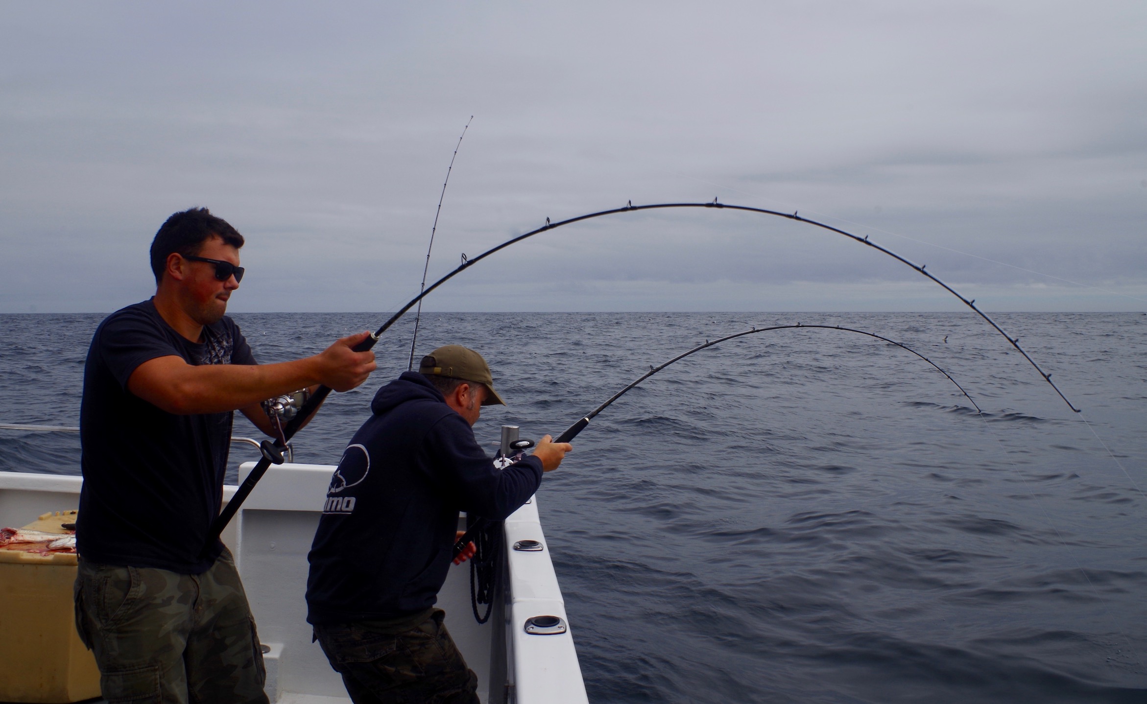 blue shark Archives - North Devon & Exmoor Angling News - The