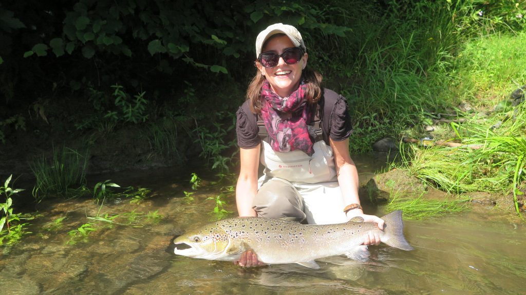 Salmon and Sea Trout Sport on Taw and Torridge North Devon Angling News The latest up to