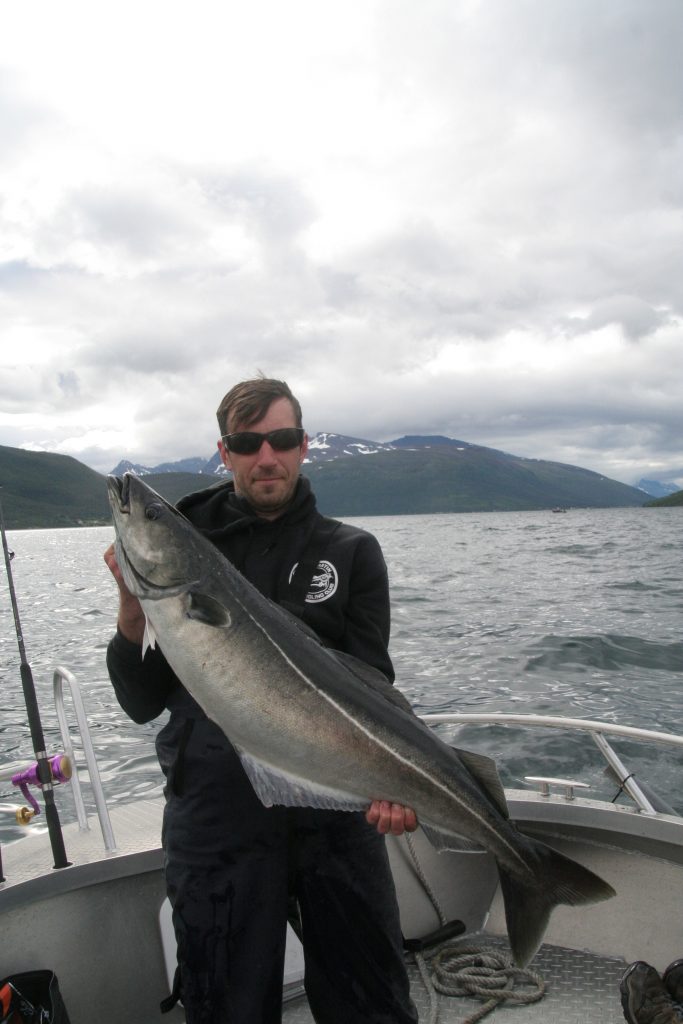 Rob Scoines 20lb plus coalfish