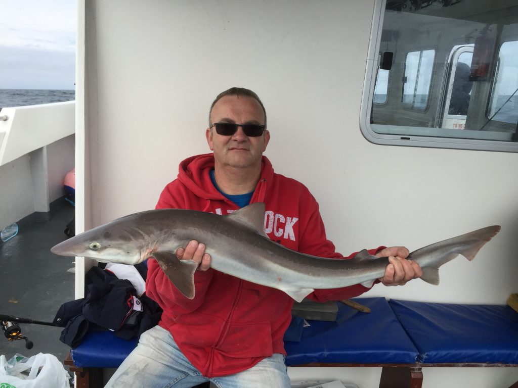 Danny from Ilfracombe's High Street Tackle with a tope caught on Bluefin 