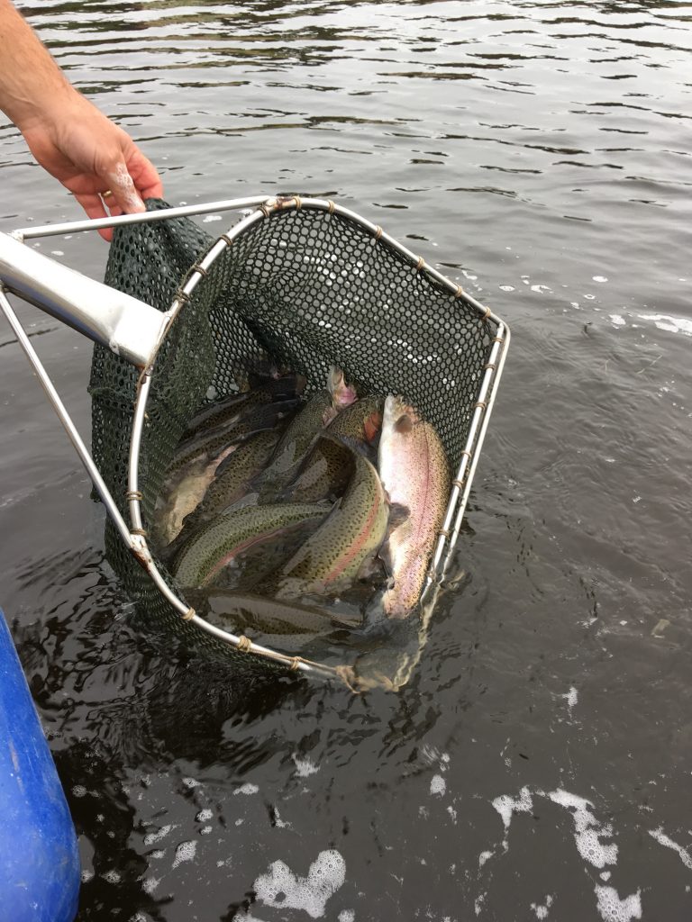 South West Lakes Trout Fisheries Report (October 2018) North Devon