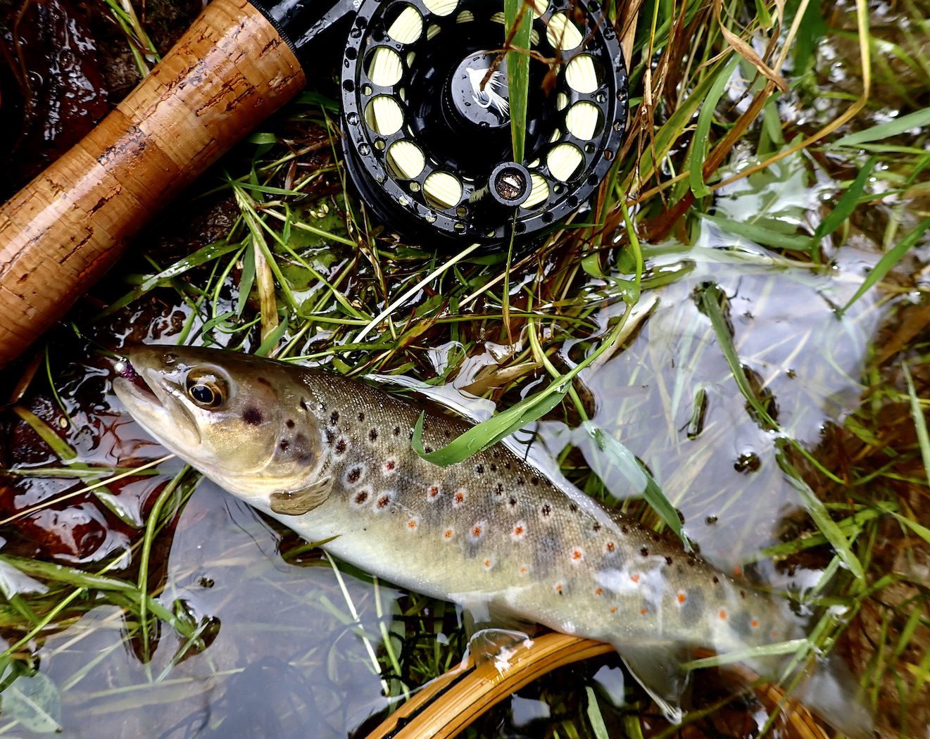 Early Roots of Fly Fishing in South Devon