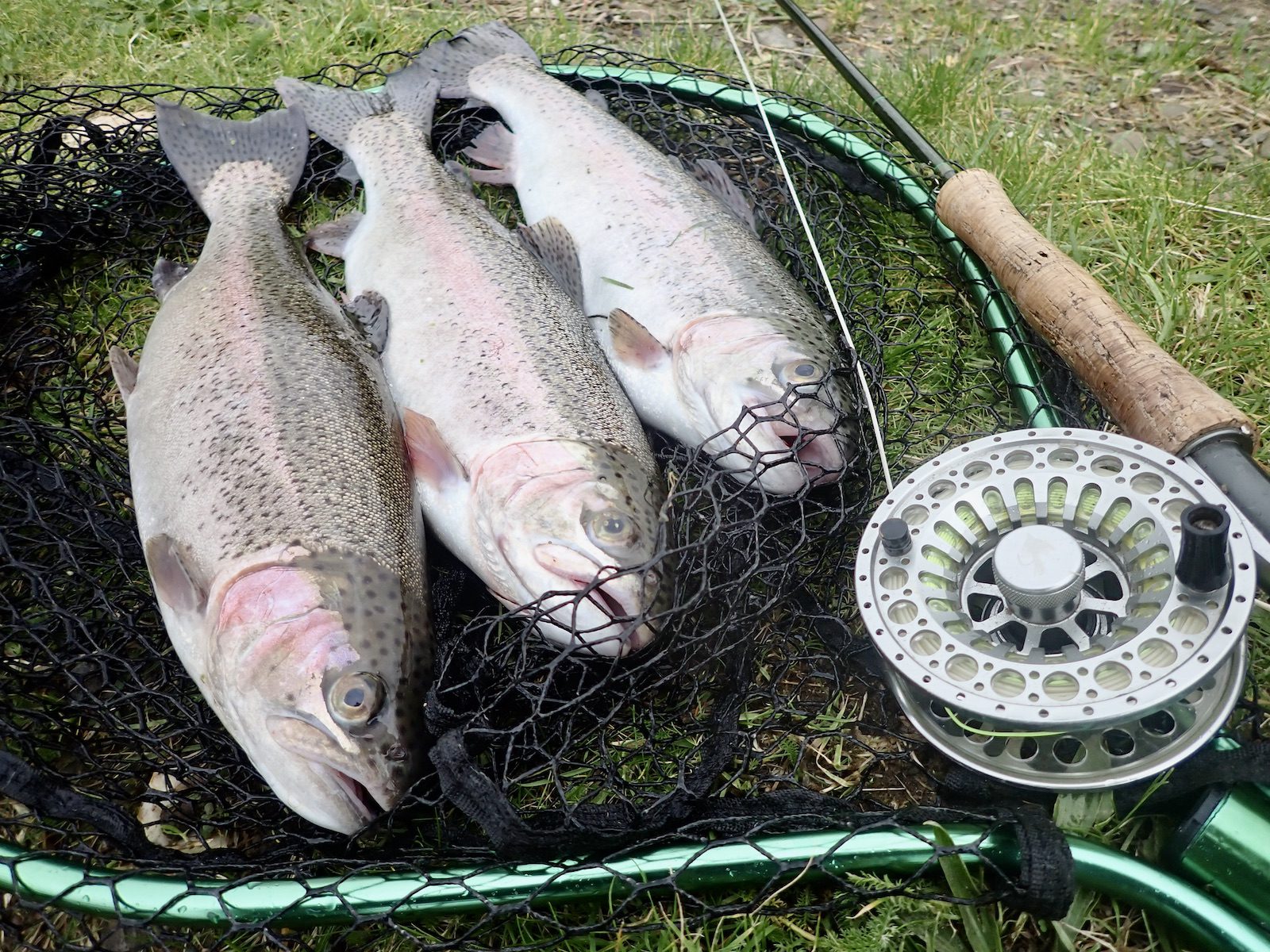 Bulldog Fishery Archives - North Devon & Exmoor Angling News - The