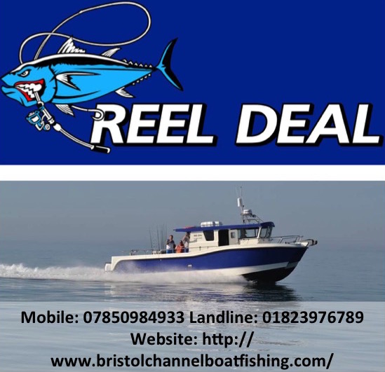 Deep Sea /Wreck/Tuna/Shark/Tope Fishing Tackle for sale in Co