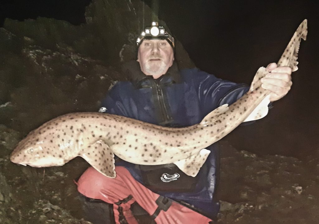 Big Bull Huss for Combe Martin SAC member - North Devon & Exmoor